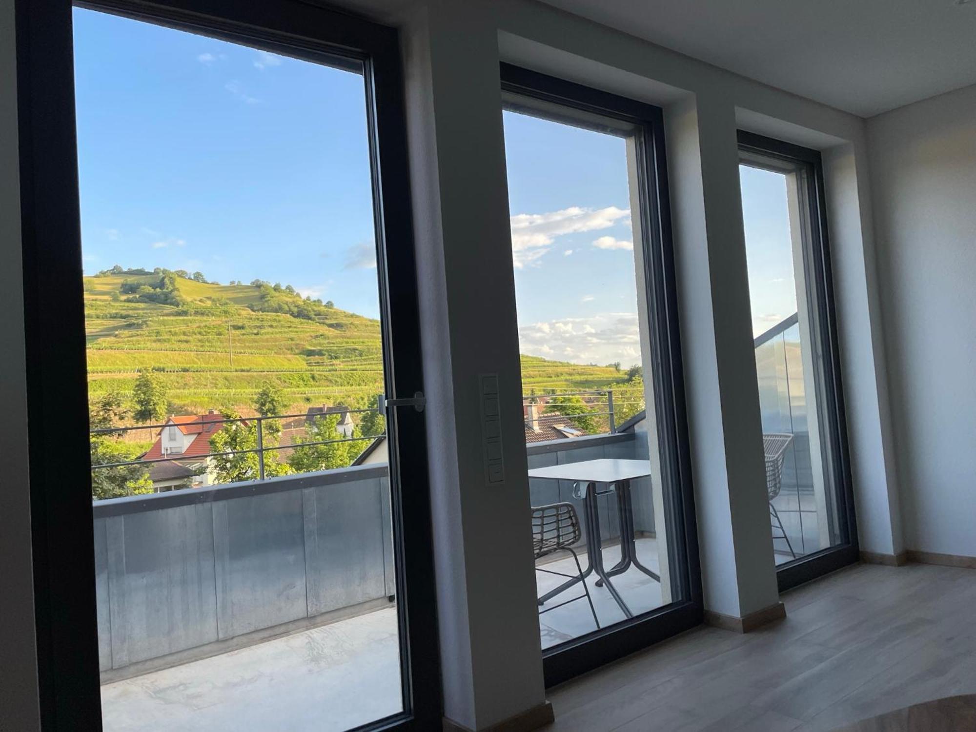 Weingut & Strausswirtschaft Vogel Apartment Vogtsburg Exterior photo